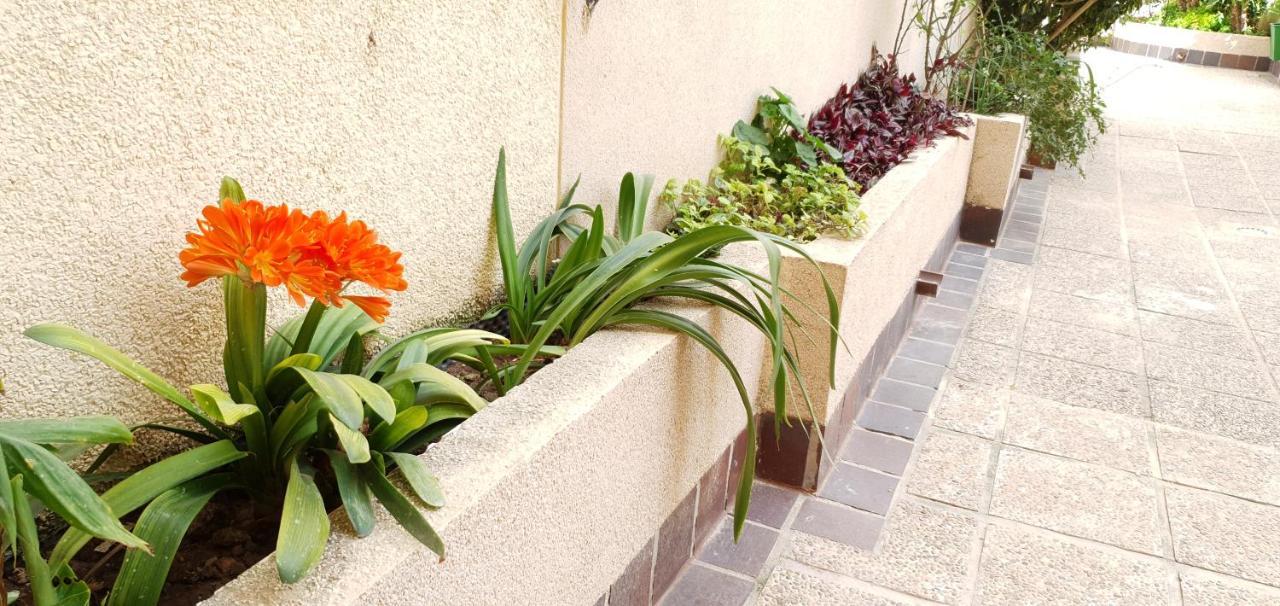 Ecaterina Apartment Torrevieja Exterior photo